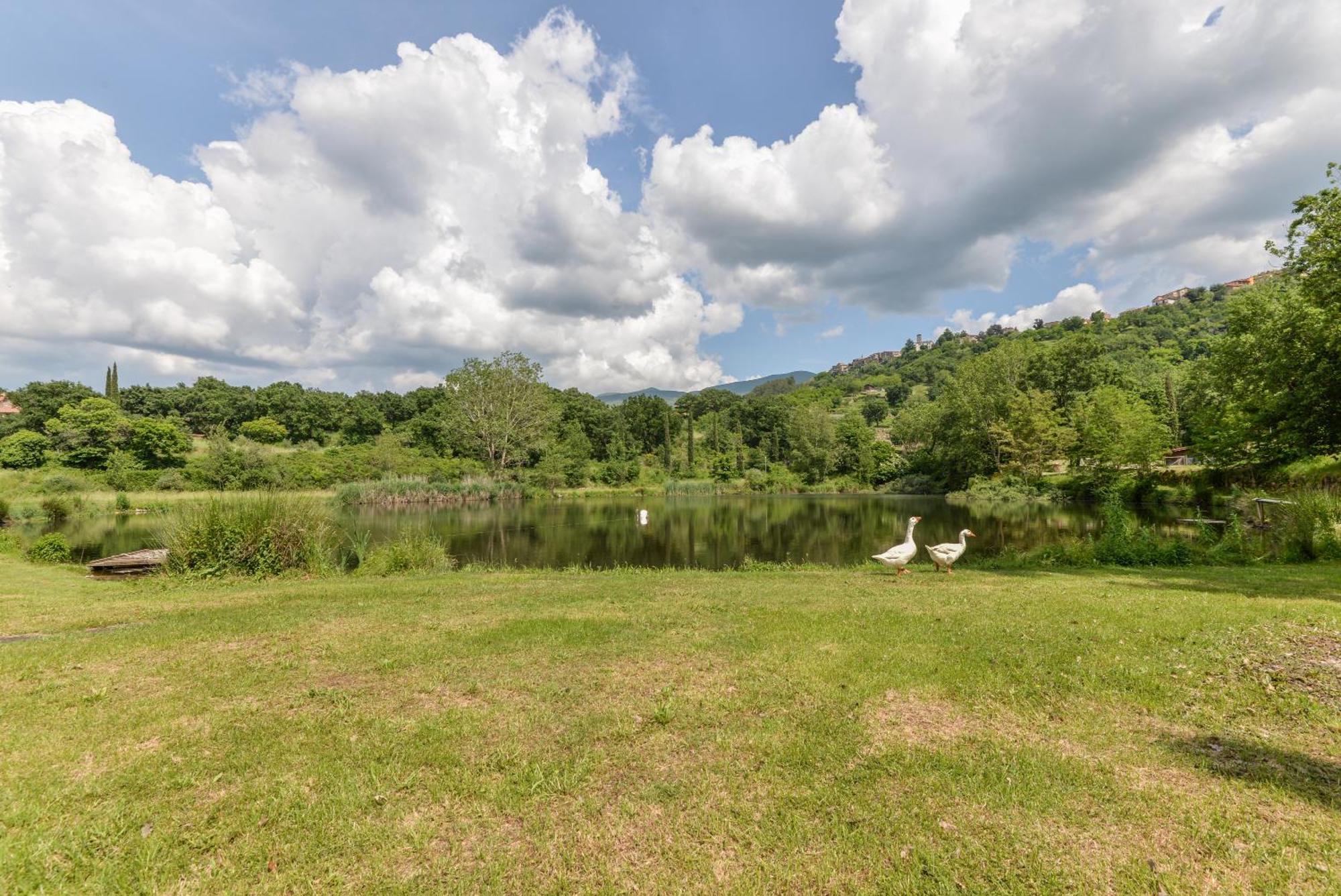 3 Charming Private Home With Pool, Bbq, Wi-Fi & Free Parking Castel del Piano (Tuscany) Exteriér fotografie